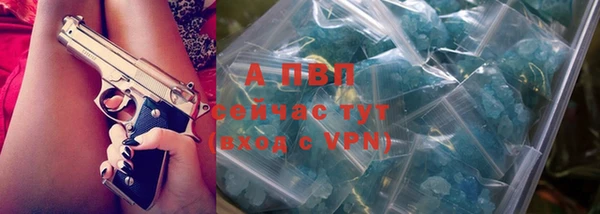 ПСИЛОЦИБИНОВЫЕ ГРИБЫ Вяземский