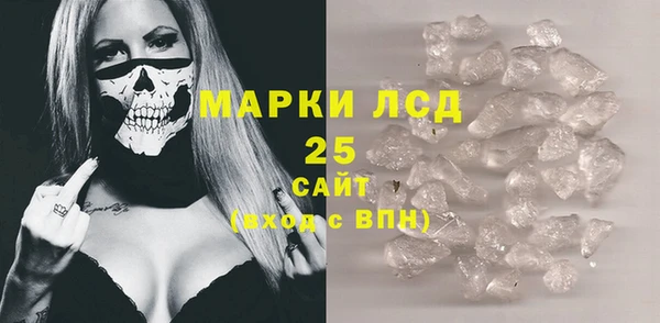 ПСИЛОЦИБИНОВЫЕ ГРИБЫ Вяземский