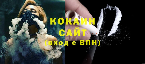 ПСИЛОЦИБИНОВЫЕ ГРИБЫ Вяземский