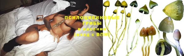 ешки Горнозаводск