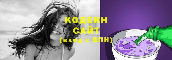 ПСИЛОЦИБИНОВЫЕ ГРИБЫ Вяземский