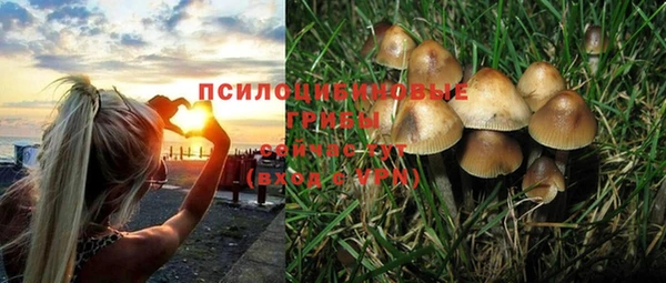PSILOCYBIN Вязники