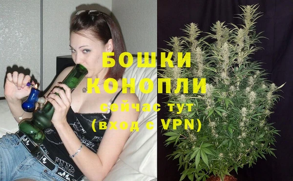 ПСИЛОЦИБИНОВЫЕ ГРИБЫ Вяземский